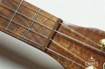 C-G/V -Concert- Gold